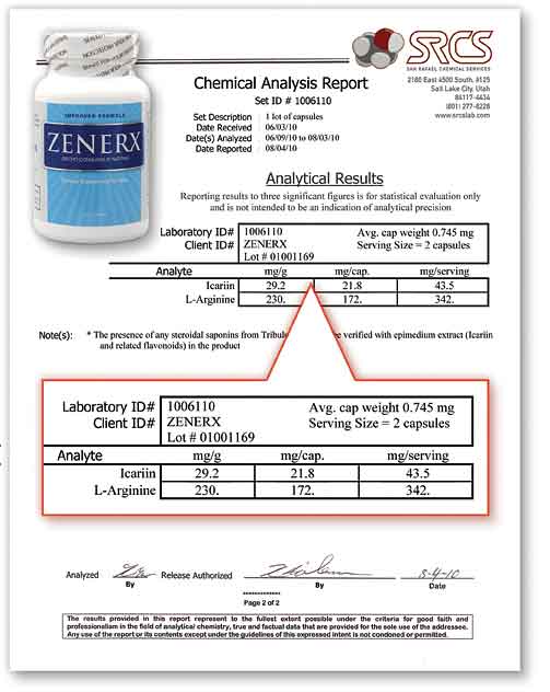Zenerex Lab Report