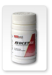 Avocet XL Avocet XL