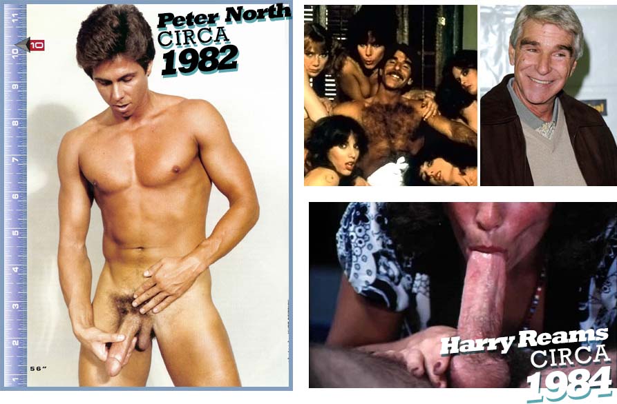 Peter North (also known as Al Brown, Matt Ramsey) is a Canadian pornographi...