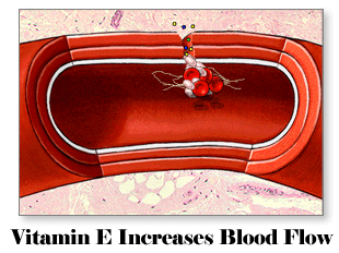 Vitamin E Increases Blood Flow